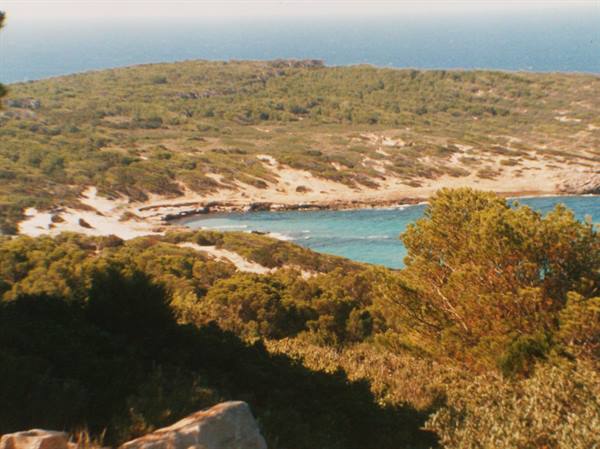 The sea of Porto Pino seen from home