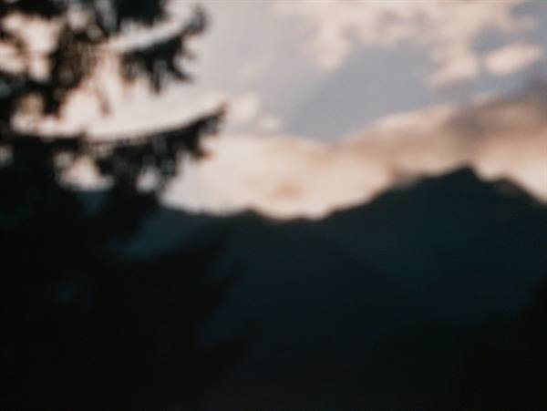 Fir branches backlit against dark mountains and pink clouds
