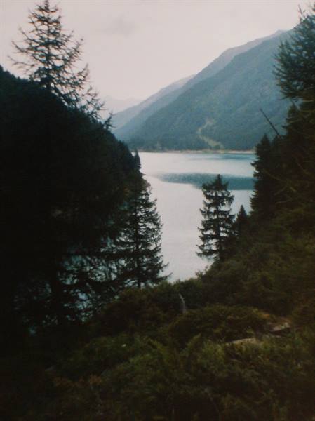 Alpine lake framed by dark firs and forested mountains under grey sky