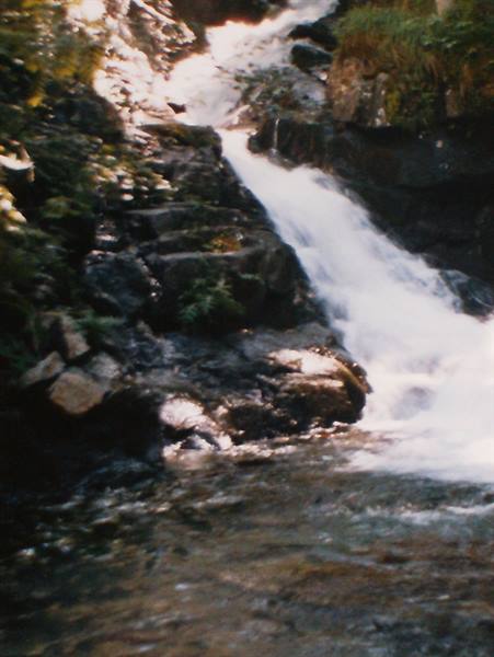 White water rushing over dark mossy rocks in sunlight