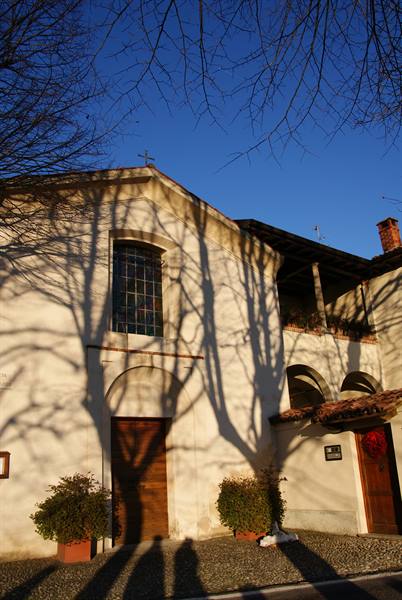 White church wall with tree shadow, blue sky, potted bushes in foreground