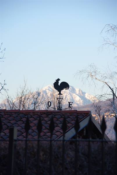Metal rooster weathervane on tiled roof, snowy mountain in the background