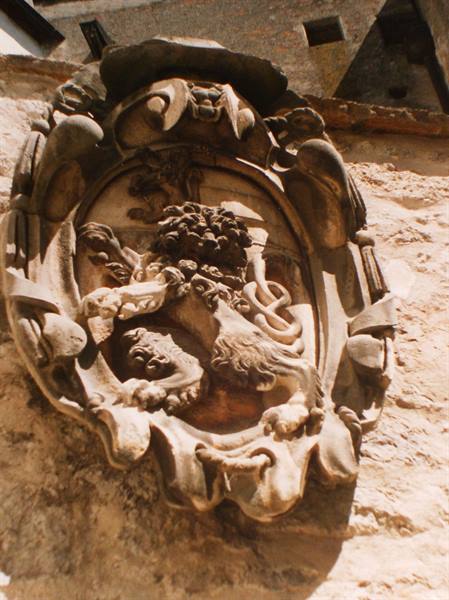 Stone carved coat of arms with rampant lion on ancient wall