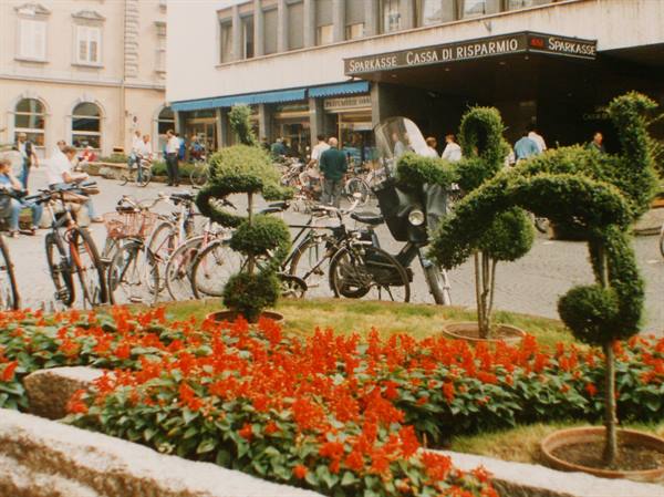 Bicycles parked outside the Sparkasse bank, red flowerbed and topiary shrubs shaped like treble clefs, Bolzano