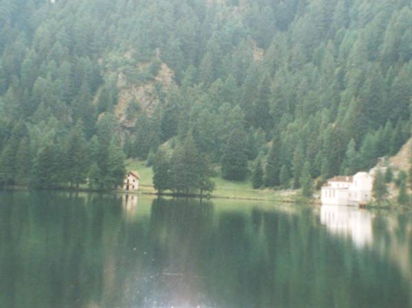 Green alpine lake surrounded by firs, small wooden houses and a white building on the shore