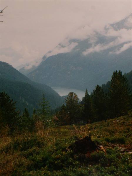Mist-covered mountains above a lake, conifers and grassy slope in the foreground