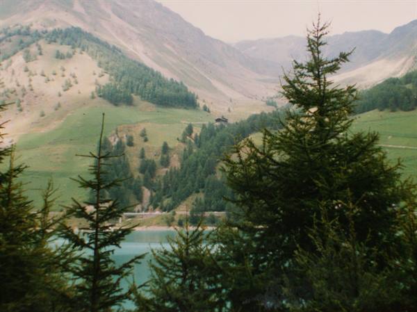 Dark conifers frame a turquoise alpine lake beneath grassy green slopes