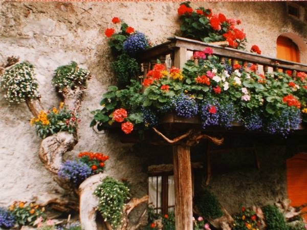 Wooden balcony overflowing with geraniums and flowers on stone wall