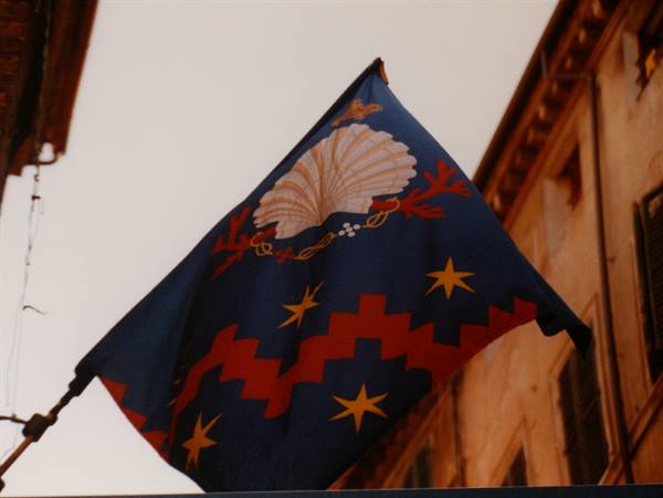 Blue flag with shell, golden stars and red coral among old buildings