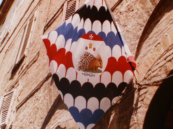 Istrice contrada banner with porcupine emblem hanging on a stone wall in Siena