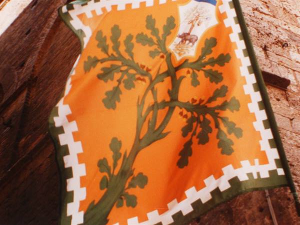Orange banner with green oak tree hanging on wooden door