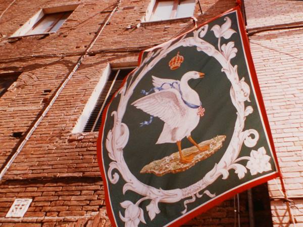 Palio banner with a crowned goose hanging on a brick building