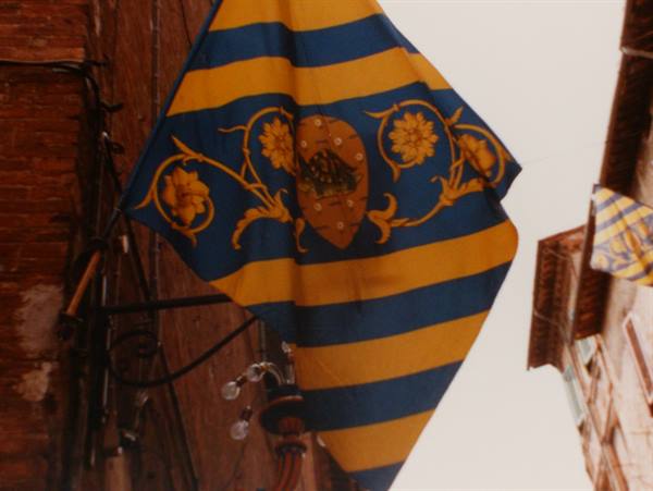 Yellow and blue striped banner with floral crest hanging between brick buildings