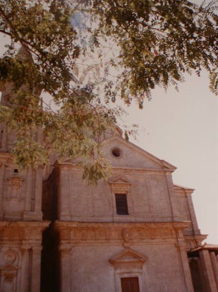 Stone facade of a baroque church, leafy branches in the foreground