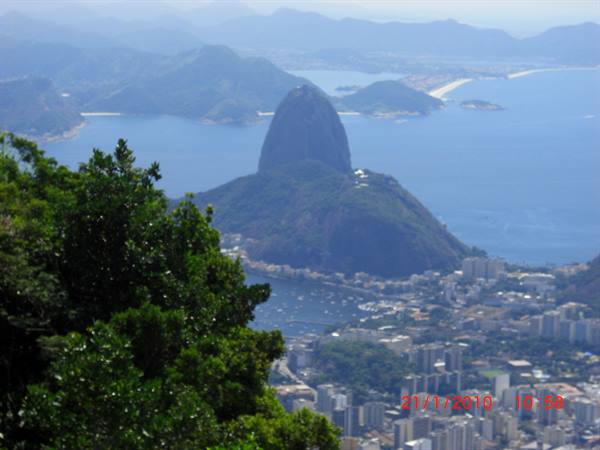 Sugarloaf Mountain above Rio de Janeiro's bay, framed by trees and buildings
