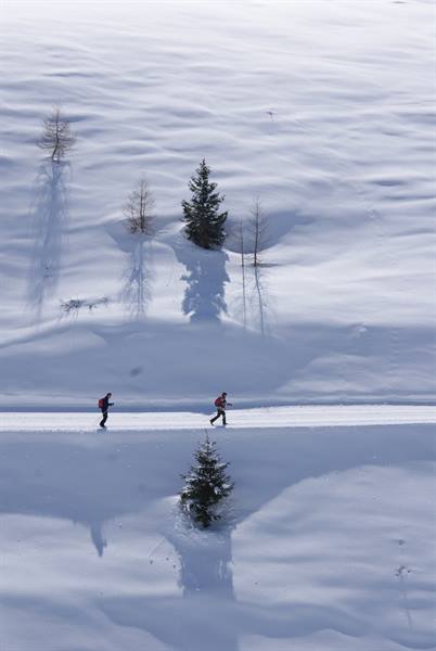 Two cross-country skiers cross a snowy trail among firs and long shadows