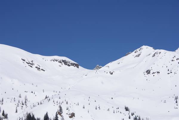 Snow-covered peaks with scattered rocks and firs under blue sky