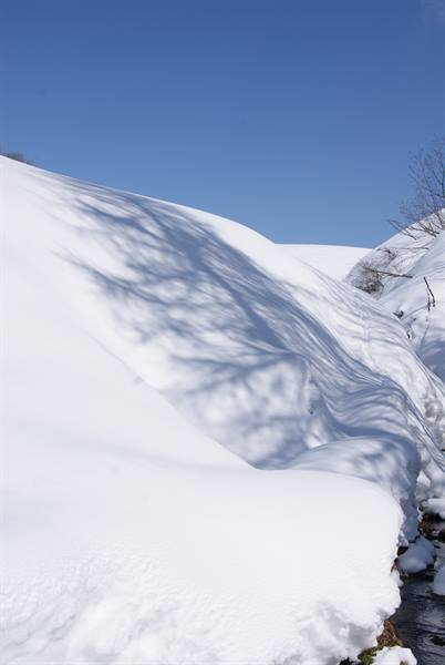 Tree shadows on deep snow by a stream, clear blue sky