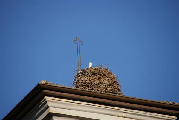 Stork nest on a roof with iron cross, blue sky