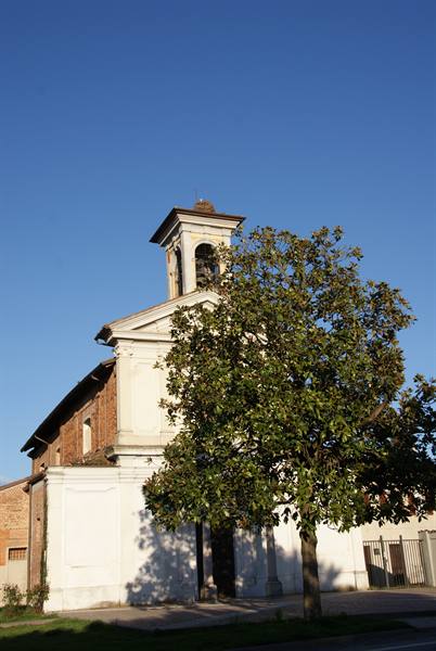 Small plastered church with bell tower beside a large tree, morning light