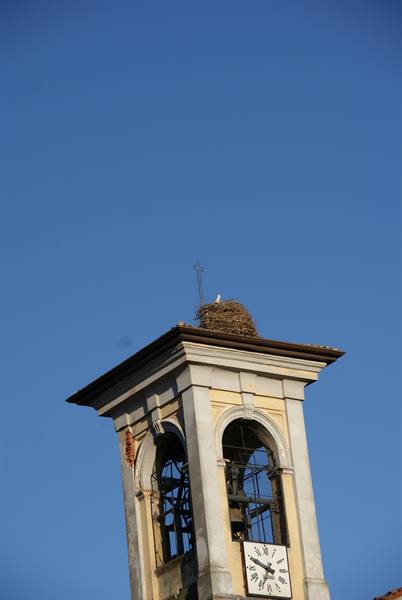 Stork nesting atop a clock bell tower with bells, clear blue sky