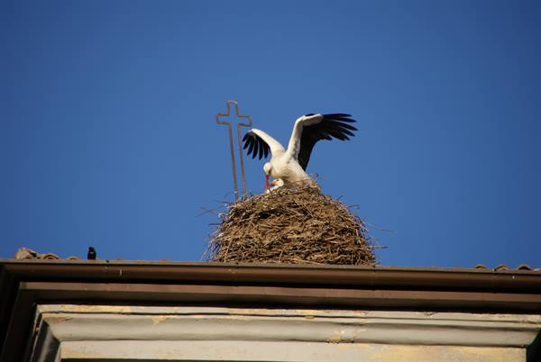Stork spreading wings over stick nest beside metal cross against blue sky