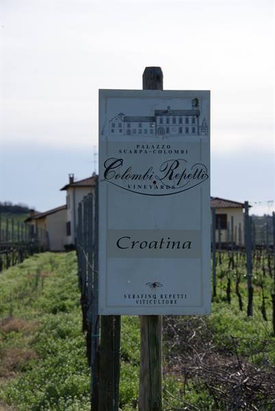Wooden sign of Colombi Repetti Croatia vineyard among vine rows and farmhouses
