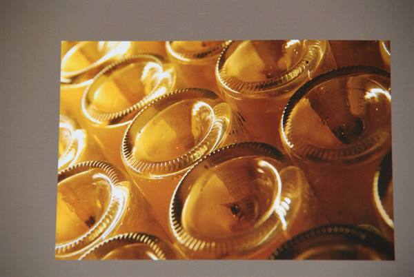 Wine bottle bottoms arranged in rows under warm golden light
