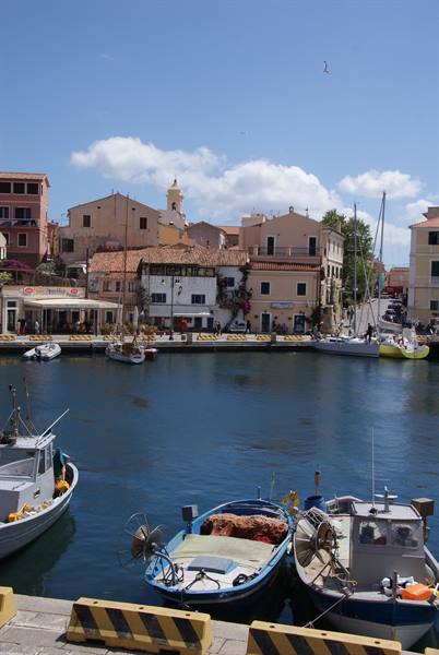 Fishing boats moored at La Maddalena harbor, colorful houses and bell tower behind