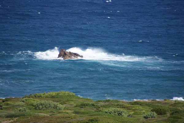 Waves crash on a rock, green shrubs in front of the blue sea