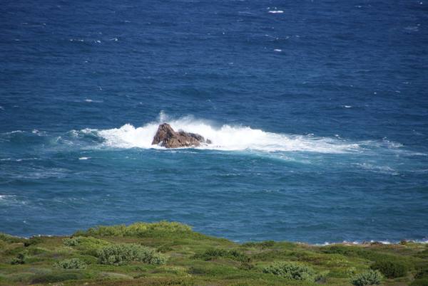 Waves crashing on a rock in the blue sea, green shrubs in foreground