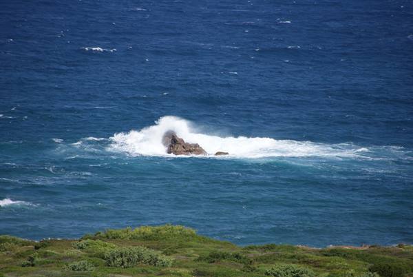 Waves crashing on a rock in the blue sea, green vegetation below