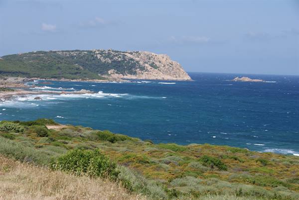 Granite rocky headland over turquoise sea, Mediterranean scrub in the foreground
