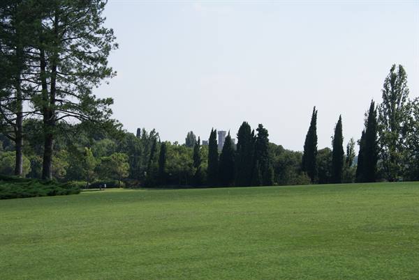 Green lawn with pines and cypresses, a small castle among the trees