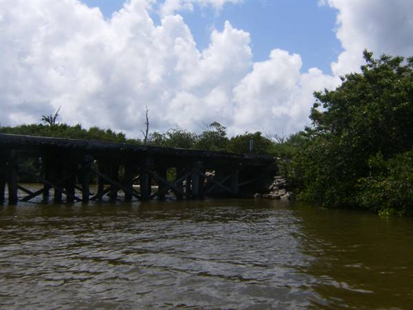 Wooden bridge over dark water among green trees, cloudy sky