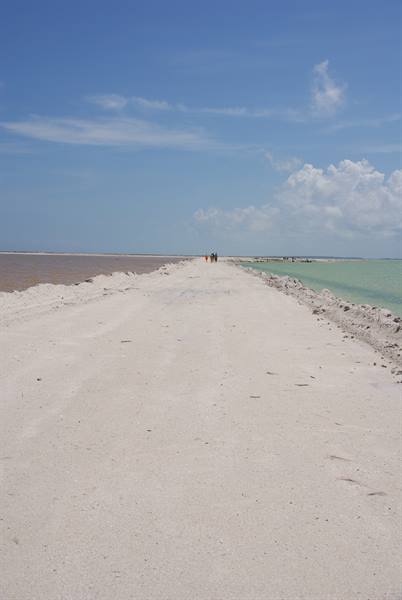 White sand causeway between turquoise and pink waters, distant walkers
