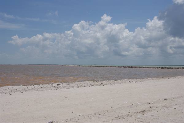 Pale sand beach, brownish sea and white clouds under blue sky