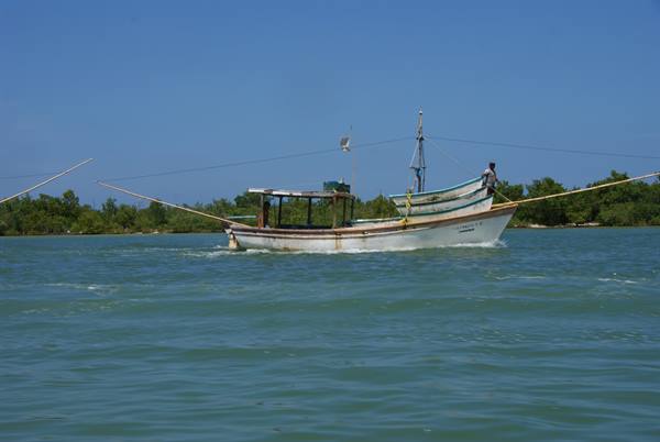 White fishing boat sailing along green coast, a man steering