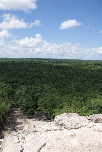 From atop a limestone pyramid, the green jungle stretches to the horizon