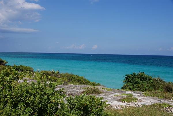 Turquoise sea under blue sky, green shrubs on limestone rocks in foreground