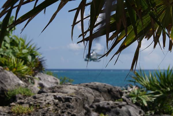 Palm fronds and limestone rocks over turquoise sea, a helicopter offshore