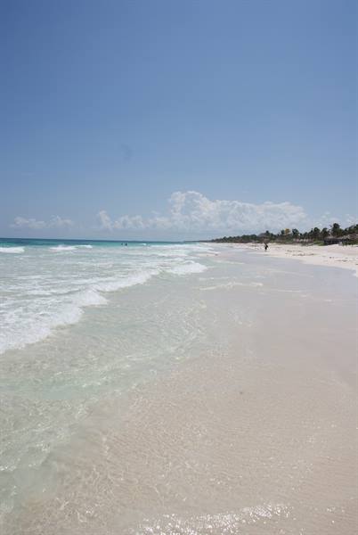 Clear waves over white sand, tropical beach lined with palms and palms under blue sky