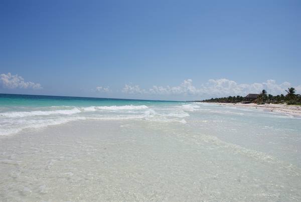 Clear waves on white sand, palm trees and beach huts under a blue sky