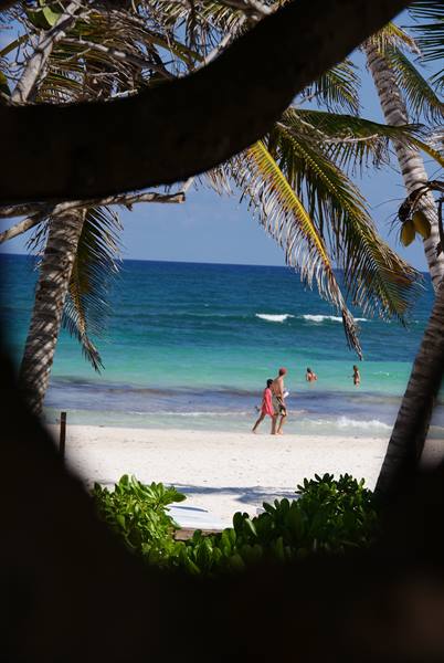 Couple walking on white sand beach framed by palms, turquoise sea