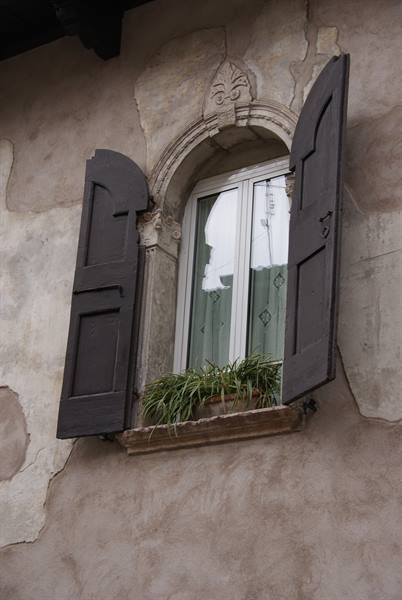 Arched window with dark wooden shutters and green plant on plastered wall
