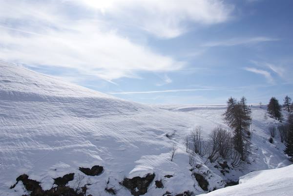 Snow-covered slope with larches and shrubs under a cloudy sky