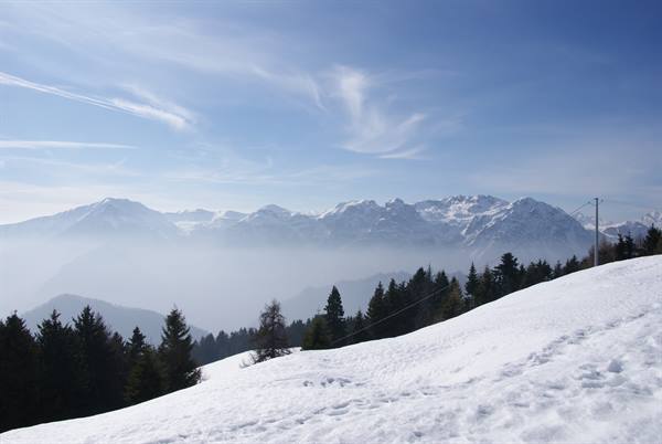 Snowy slope among firs, valley fog and snow-capped mountain range under blue sky