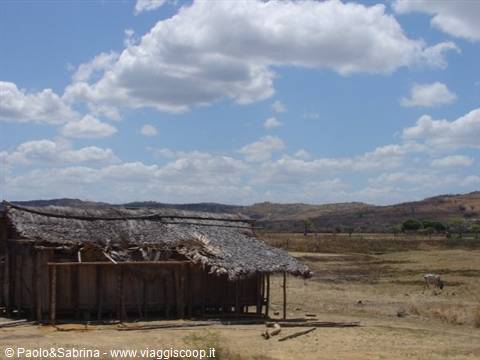 Steppe and sparse dwellings, on the way to Ankarana park