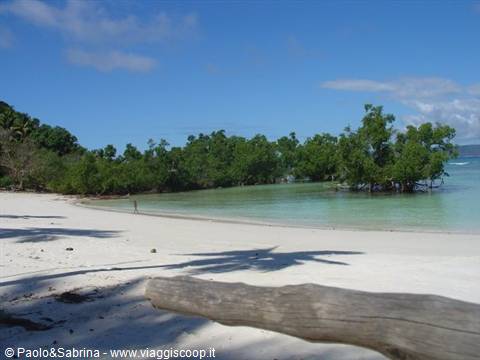 Glimpse of mangrove forest, Nosy Iranja