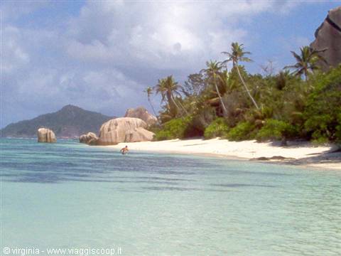 Palms and granite boulders on tropical beach, turquoise Seychelles waters